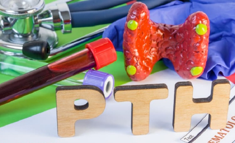 Xét nghiệm Parathyroid sử dụng mẫu máu tĩnh mạch của người bệnh